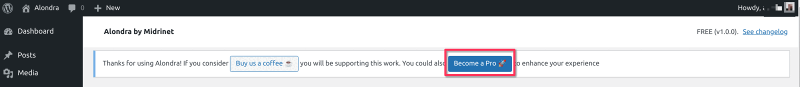 The Become a Pro button in the Alondra settings banner